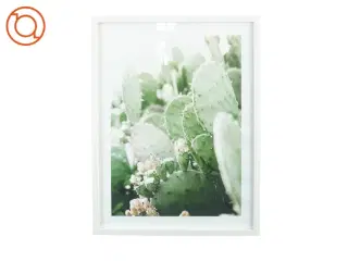 Plakat og billedramme (str. 42 x 32 cm)