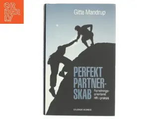 Perfekt partnerskab : forretningsorienteret HR i praksis af Gitte Mandrup (Bog)