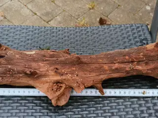 Flotte trærødder sælges