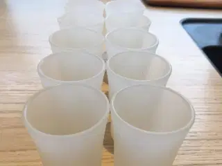 10 plastik-shotglas