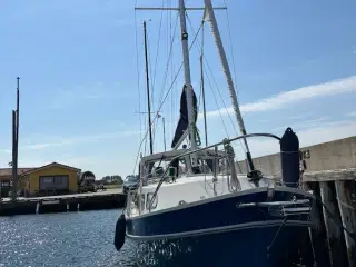 Finsailer 29 