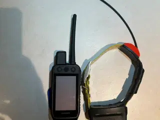 Garmin GPS til hund Alpha 200 + T5X halsbånd