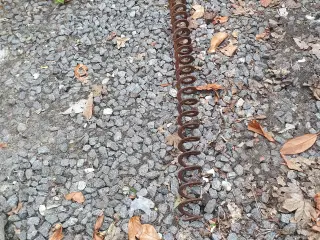 Spiral 