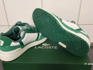 Lacoste Sneakers