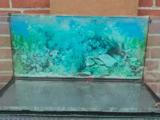 54 liters akvarie sælges 