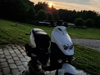 Pgo pmx naked