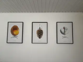 Ægget, svanen og koglen 