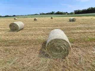 Wrap til heste, køer og får