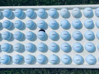 Golfbolde, Bridgestone treosoft