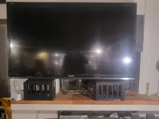 Sharp tv. 80 tommer 