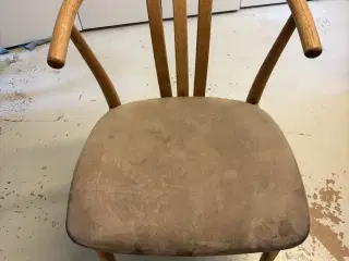 Spisebords stole egetræ