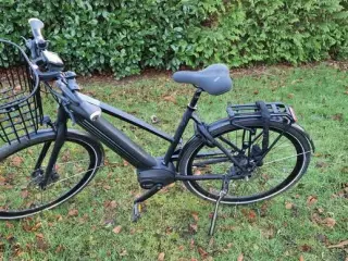 Gazelle Cityzen C8+