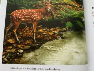 Klimaklog