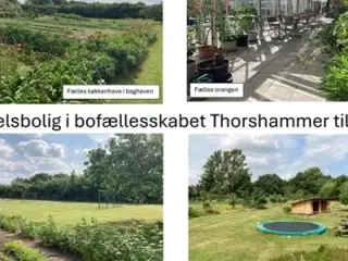 Andelsbolig til salg i bofællesskabet Thorshammer