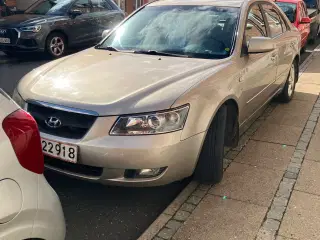Ægte Flyder V6