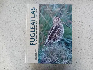 Fugleatlas