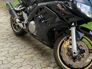 Suzuki SV1000S