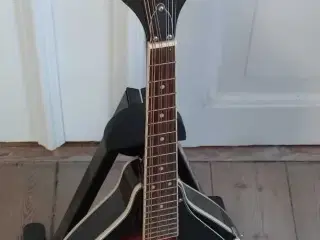 Næsten som ak/el mandolin m taske