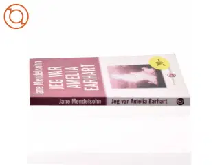 Jeg var Amelia Earhart : roman af Jane Mendelsohn (Bog)