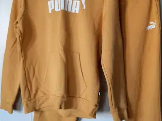 Puma hoodie og bukser 