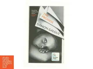 The Promise af Damon Galgut (Bog)