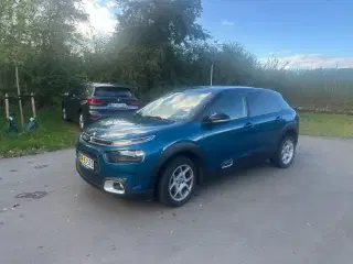 Citroën C4 Cactus 1,5 BlueHDi 100 Iconic Van
