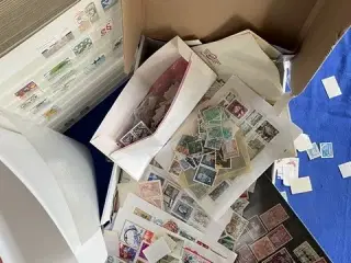 Oprydningsrodekasse - Alle kasser er med forskelligt indhold -  30 - 8 - 2023