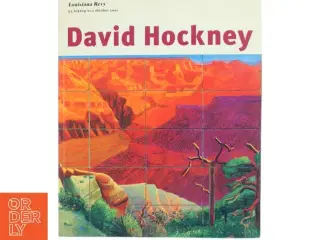 David Hockney bog