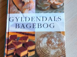 Bagebog