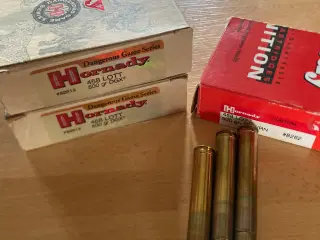 .458 Lott ammo