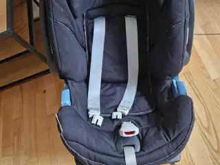 Cybex Autostol