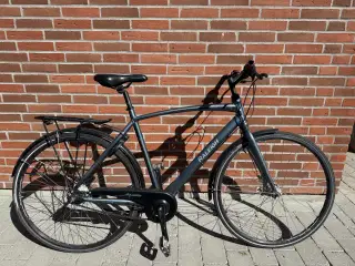 Raleigh herrecykel