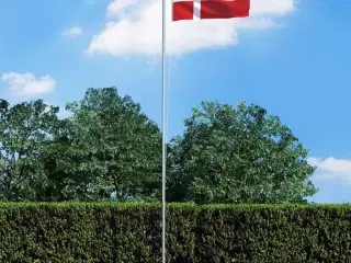 Det danske flag 90x150 cm