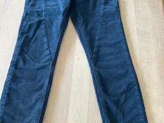 Fløjlsbukser PULZ
