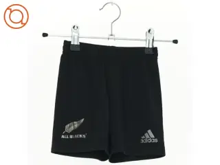 Shorts fra Adidas (str. 74 cm)