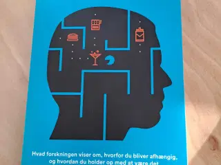 Bogen "Din hjerne snyder dig" - en bog om misbrug