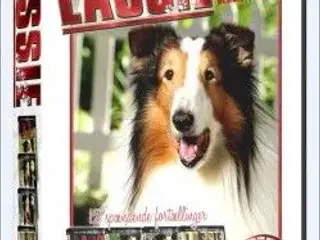 LASSIE ; 12 Lassie film