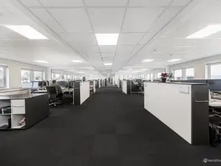 Kontorlejemål med plads til ca. 80 arbejdspladser