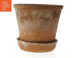Terrakottapotte med underskål (str. Ø. 16 cm. længde. 14 cm)