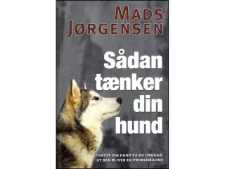 Sådan tænker din Hund