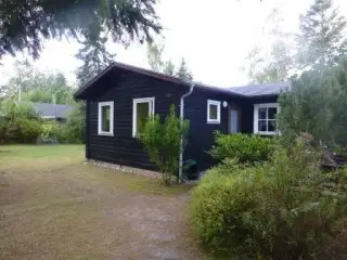 Dejligt velindrettet sommerhus (ikke-ryger) udlejes. Natursk�nne omgivelser, 2 km. fra Liseleje strand og Melby Overdrev