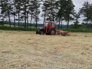 Høvender