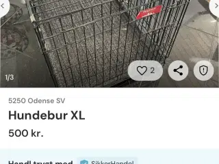 Hundebur til mellemstor hund