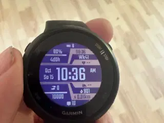 Garmin