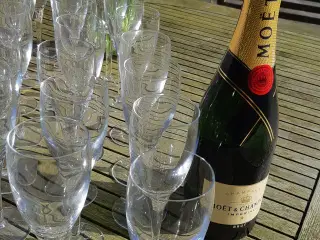 Champagne Glas
