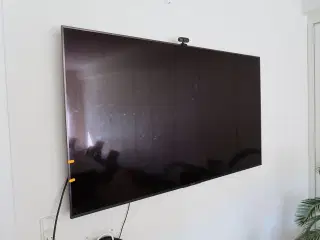 Fjernsyn SONY med webcam