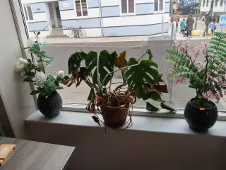 3 stk. vaser med div. Kunstige blomster