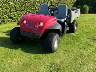 Toro Workman Benzin