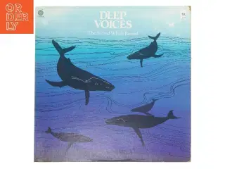 Deep Voices: The Second Whale Record LP fra Capitol