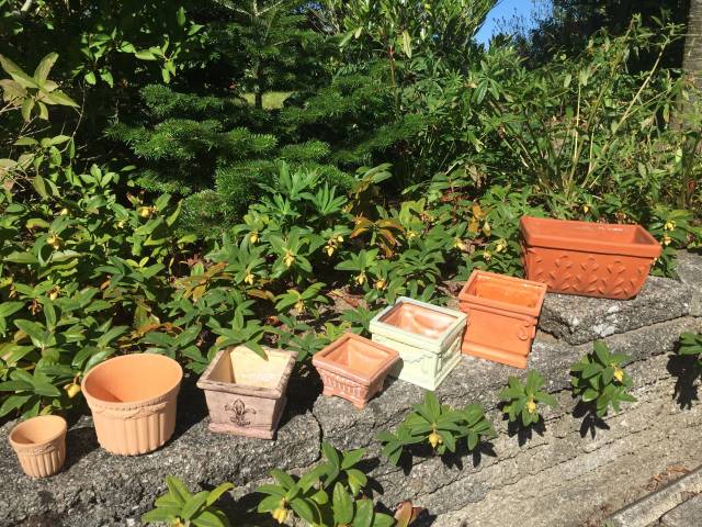 Smukke terracotta krukker med ornamenter